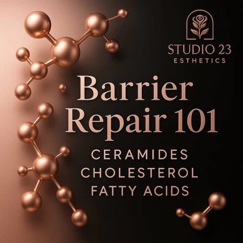 Illustration of skin barrier layers